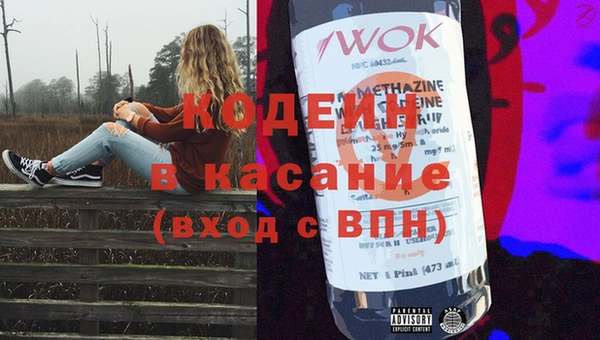 крисы Козельск